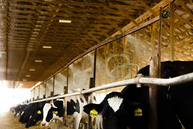 Project To Demonstrate Tech's Ability To Turn Manure Into Money