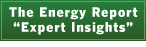 The Energy Report Expert Insights