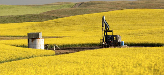 Small-Cap Oil Company's First STACK Well Ranks Among Highest in Region 