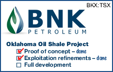 BNK Petroleum Inc.