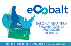 eCobalt Solutions Inc.
