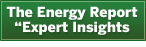 The Energy Report Expert Insights