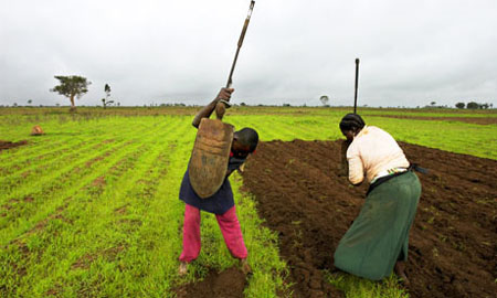 women africa climate change