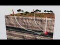 RDS video
