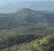 Gold Co.'s Price Target 88% Higher Than Current