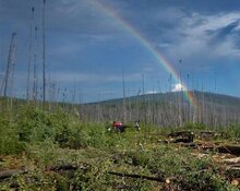 How Golden Sky's Boliden JV and Billionaire Backing Position It for a Catalyst-Rich Year