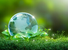 Cleantech, Life Sciences Co. Has Multiple Shots on Goal