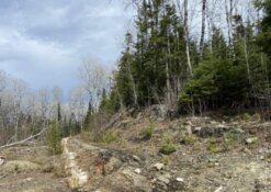 Full Ownership Secured Across Major Northern Land Position After Final Option Payment