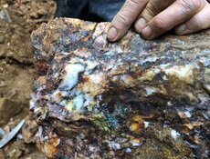 Gold Explorer Finds High-Grade 16.43g/t Breakthrough at BC's Quesnelle
