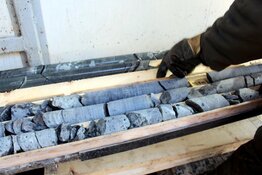 Manganese Co. Severely Undervalued