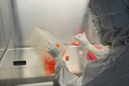 US Biotech Co. Targets Muscular Dystrophy with First-In-Class Drug