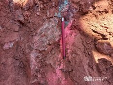 Copper Miner Released Drill Results from Mexico