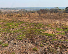 Midnight Sun Finds Excellent Copper Potential in Zambia 