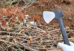 High‑Grade Gold Intercepts Extend Zone 4 as Drilling Moves Deeper