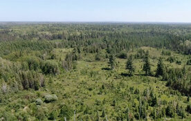 Exploration Company Finds Excellent Minnesota Helium Opportunity