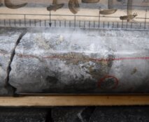 Buy-Rated Base Metals Firm Releases Good Drill Results