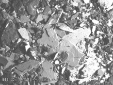 Mining Co. Finds High-Grade Tungsten with Massive Upside