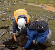 Analyst: Co.'s Purchase of High-Grade Mine Positive