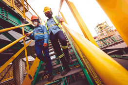 Vanadium Co. Has Two-Pillar Strategy and Multiple Catalysts