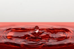 Blood in the Streets