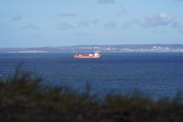 Energy Co. Buys First LNG Production Facility