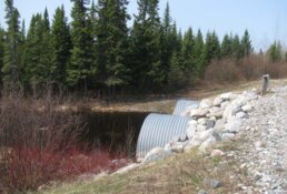 High-Grade Gold Hits Near Surface Extend Strong Continuity Across Key Deposit