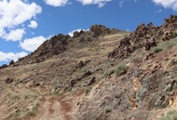 Copper Explorer Confirms AI-Targeted Hit in Nevada