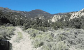 Development Co. Accelerates High-Grade Gold Opportunity in Nevada