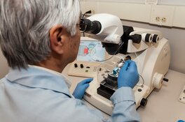 Rest of 2025 Rich With Catalysts for Immunotherapy Co.