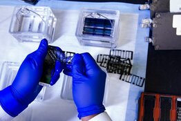 French Clinical-Stage Biotech's UC Drug Faces 'Best in Disease' Doubts as Analyst Lifts Target Ahead of 4Q26 FDA Filing
