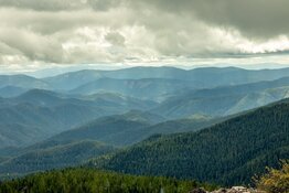 Idaho Mining Co. Intercepts Oxidized, Silicified Sandstone With Quartz Veins From the Surface​