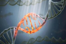 Biopharma Firm Accelerates AI-Driven Cancer Drug Discovery in Canada