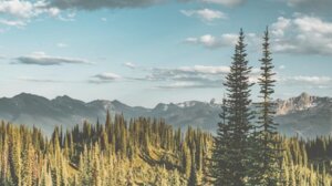 Gold Explorer Launches High-Grade BC Drill Program