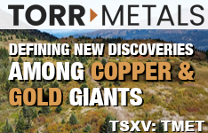 Learn More about Torr Metals Inc. Learn More about Torr Metals Inc.