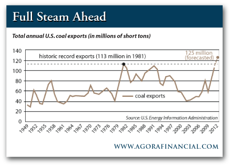 Matt Insley, Daily Reckoning