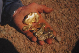 More Drill Results Expand Areas of Gold at Idaho Project