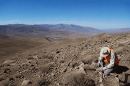Nevada Gold Project Expands With 44 New Claims Across Priority Target Corridors