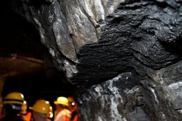 West Point Gold Unveils Massive High-Grade Gold Hits at Gold Chain